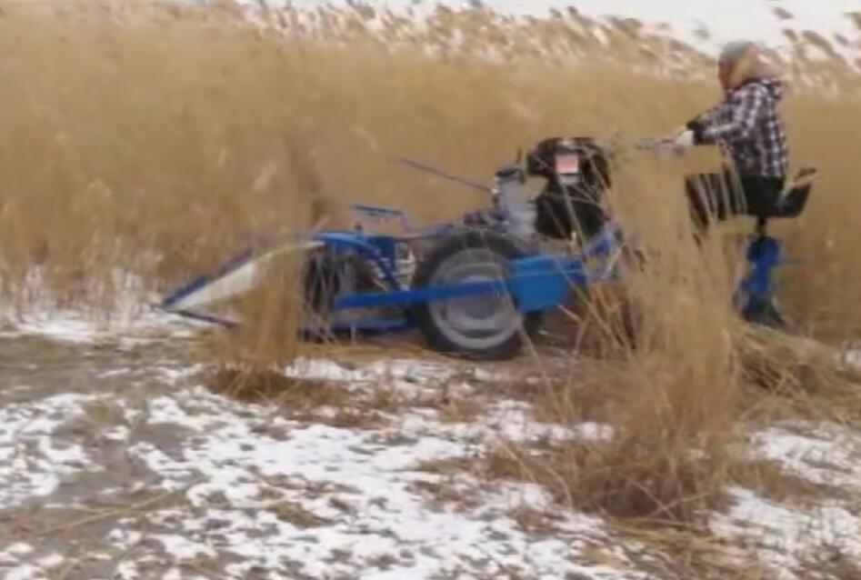 意大利原裝進(jìn)口割捆機(jī)應(yīng)用于蘆葦收割打捆